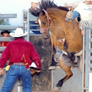Darryl Chestnut Photo 2