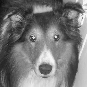 Jerri Brooks Photo 17