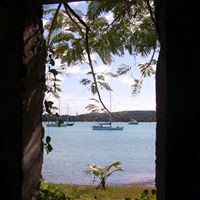 Dorothy Nicholson Photo 23