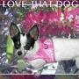Debra Webber Photo 17