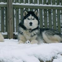 Susan Danese Photo 6