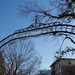 John Grigsby Photo 48