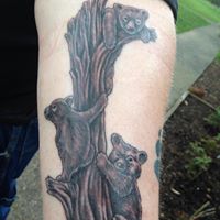 Justin Robinett Photo 13