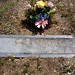 Mary Colombo Photo 17