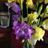 Betty Sanders Photo 34