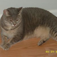 Mary Marrs Photo 7