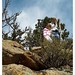 Jennifer Estes Photo 14