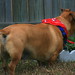 Donna Pointer Photo 14