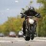 Jose Ledo Photo 8