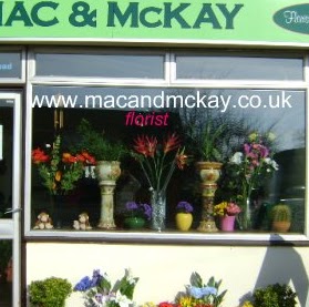 Alison Mckay Photo 28