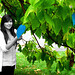 Melissa Macdonald Photo 27