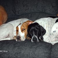 Gail Wells Photo 30