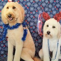 Ellen Marshall Photo 13