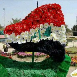 Hadi Taha Photo 2