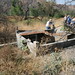 Ron Harrell Photo 24