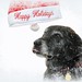 Jane Keys Photo 15