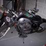 David Tenney Photo 42