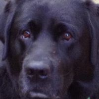 Ty Armstrong Photo 30