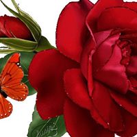 Dilshad Ahmed Photo 12