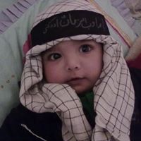 Syed Zafar Photo 38