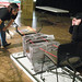 Connie Winn Photo 16