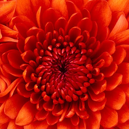 Michelle Jolly Photo 25