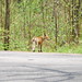 Karen Goad Photo 6
