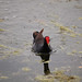 Shawn Freitas Photo 8