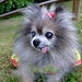 Susan Spitz Photo 14