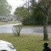 Terri Keeling Photo 13