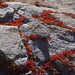 Heather Pack Photo 15