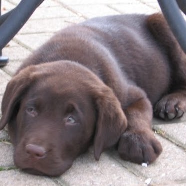 Griffin Thomas Photo 7