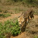 Joyce Dumas Photo 18