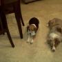 Brandy Barber Photo 27