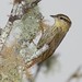 Bill Sharp Photo 18