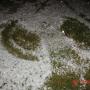 Lisa Dietz Photo 14