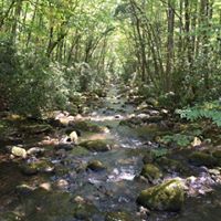Debbie Kranz Photo 7