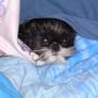 Debbie Cartwright Photo 23