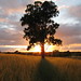 Dawn Berry Photo 23
