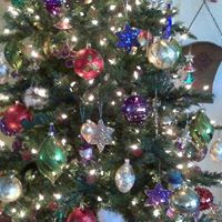 Suzan Jenkins Photo 8
