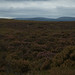 Heather Lough Photo 17
