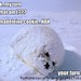 Deborah Palm Photo 16