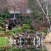 Sharon Brooks Photo 38
