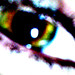 Sandra Lash Photo 17