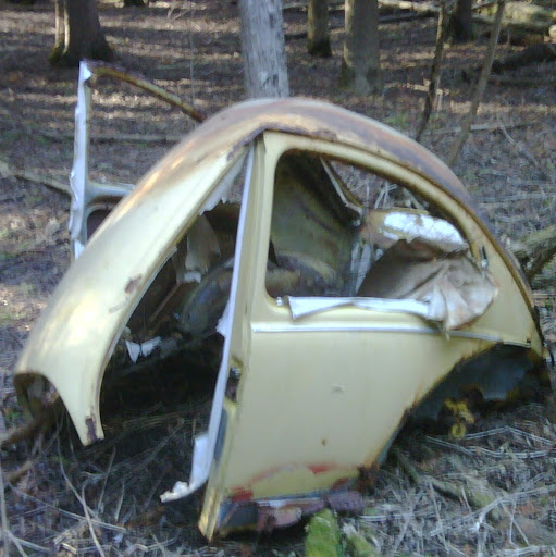 Mark Cassell Photo 26