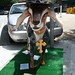 Donna Kidd Photo 13