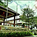 San Cheng Photo 11