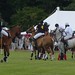 Leigh Davies Photo 23