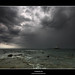 Sean Tynes Photo 10