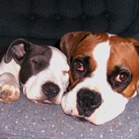 Diane Prosser Photo 13
